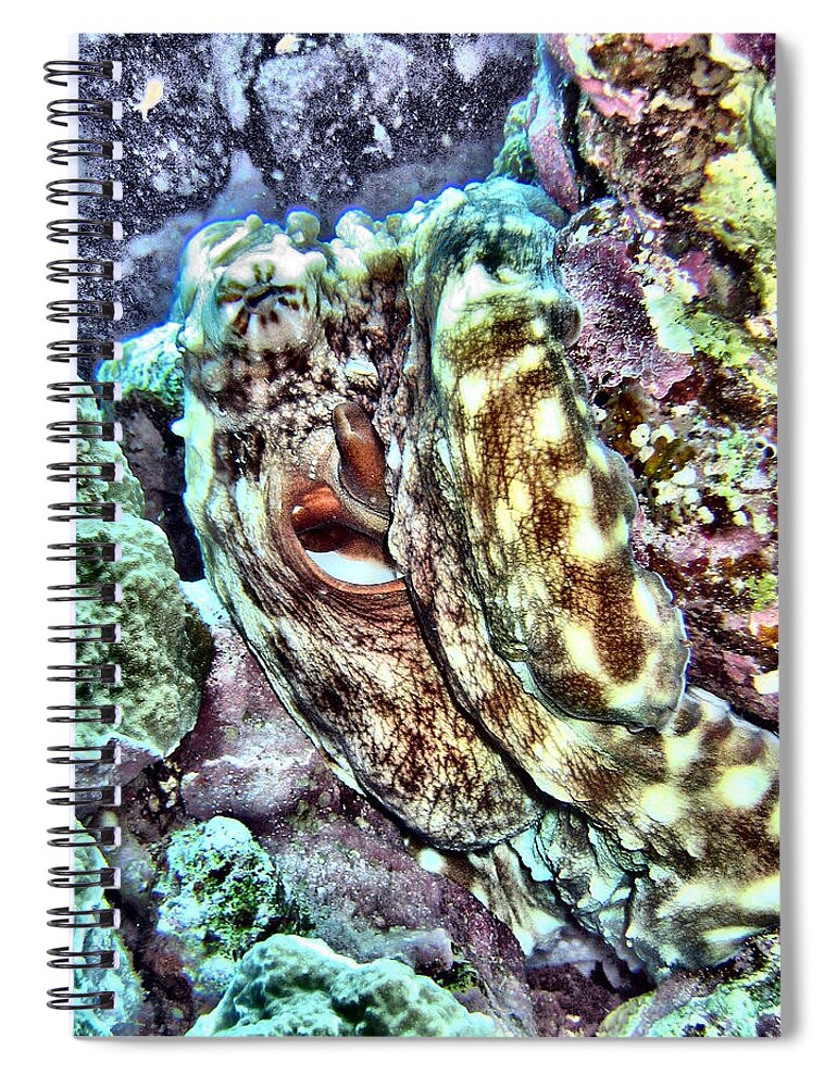 Abstract Spiral Notebook featuring the digital art Colourful Octopus #1 by Roy Pedersen