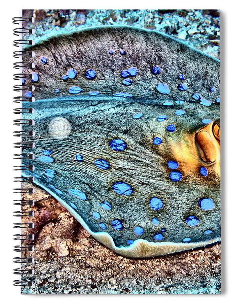 Abstract Spiral Notebook featuring the digital art Abstract Reef Ray by Roy Pedersen