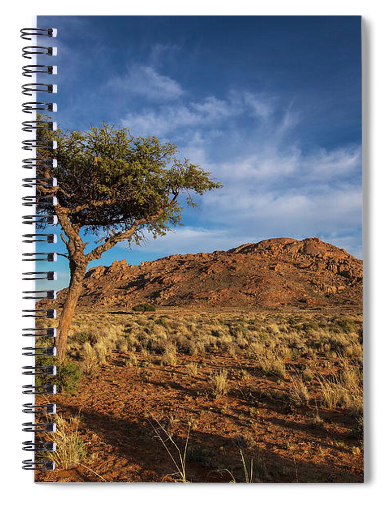 Grass Spiral Notebook featuring the photograph Acacia Tree by Lars Froelich / Design Pics