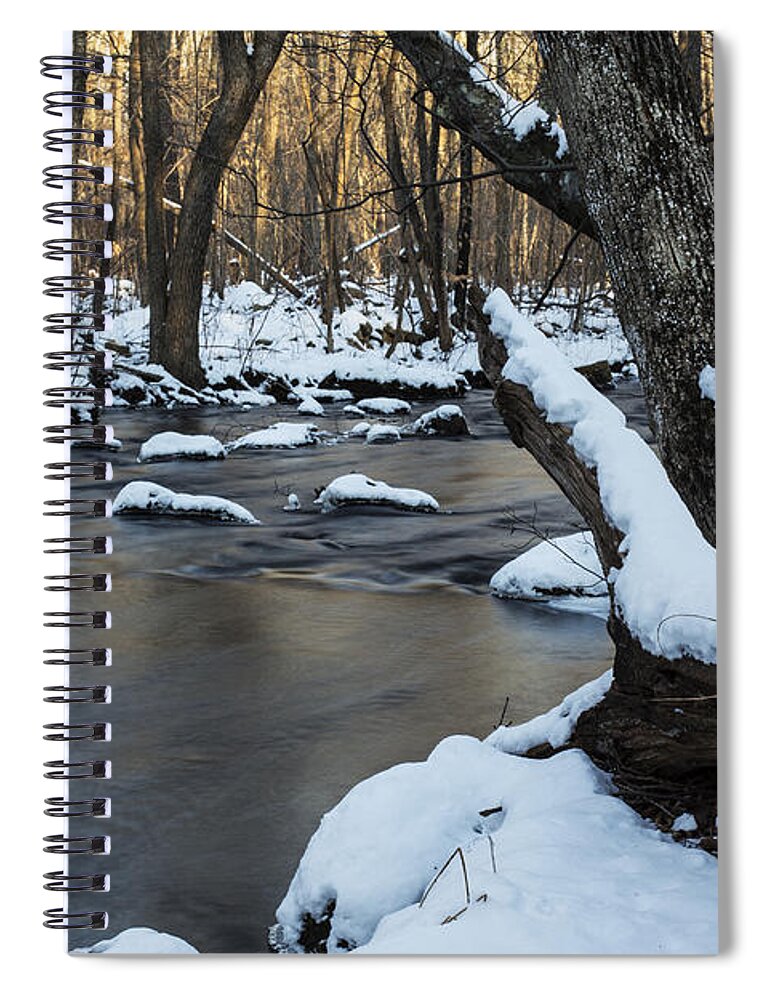 Andrew Pacheco Spiral Notebook featuring the photograph Adamsville Brook by Andrew Pacheco