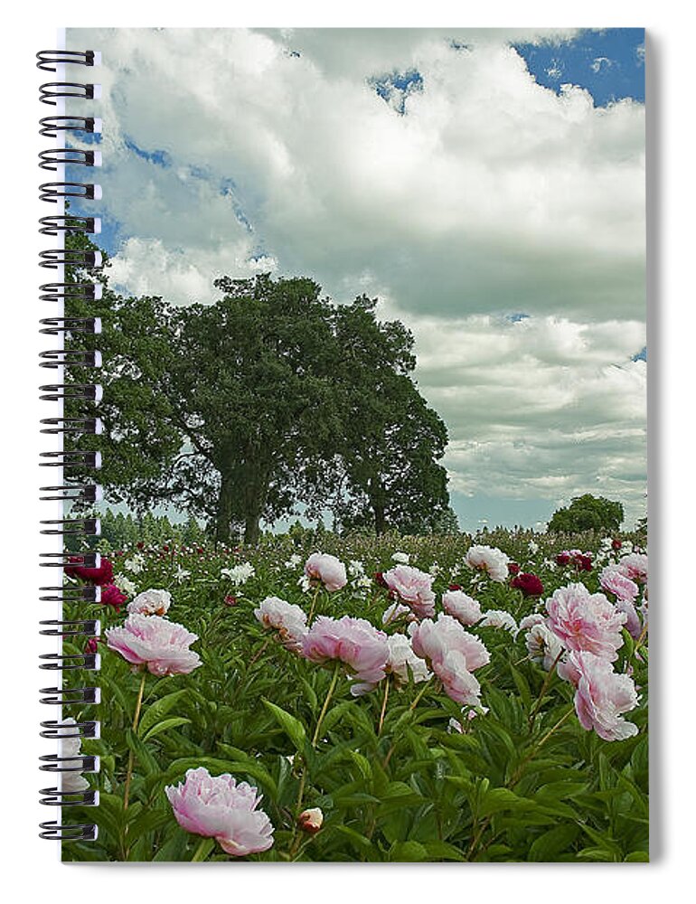 Pacific Spiral Notebook featuring the photograph Adleman's Peony Fields by Nick Boren