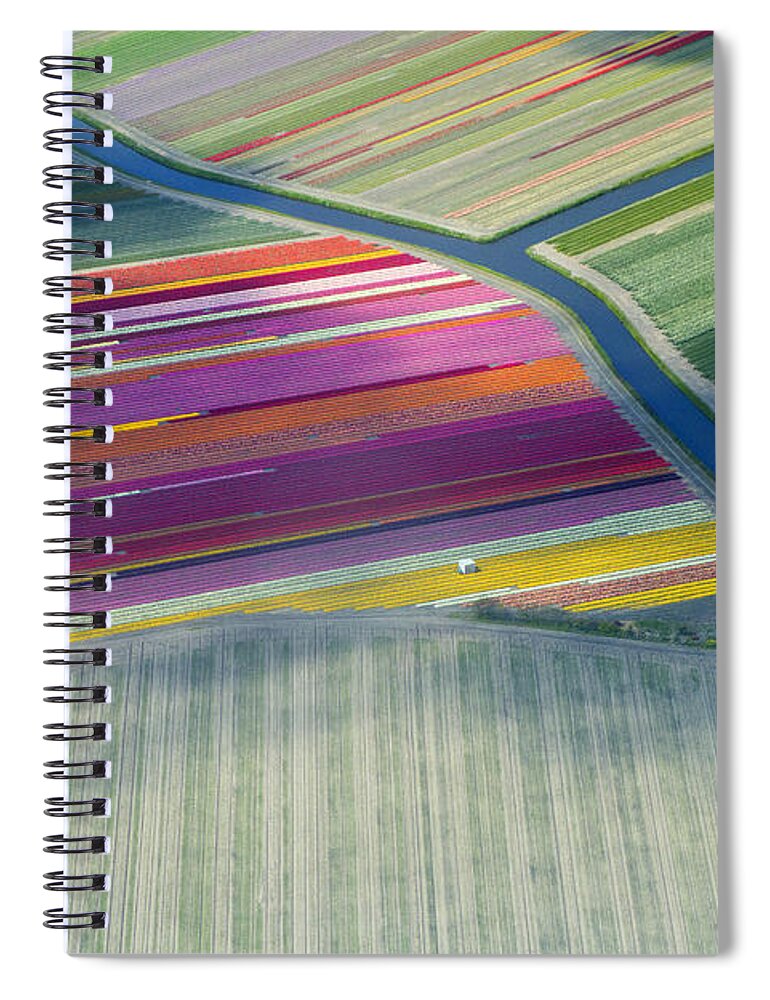 Curve Spiral Notebook featuring the photograph Aerial View Of Flower Fields In Spring by Frans Sellies