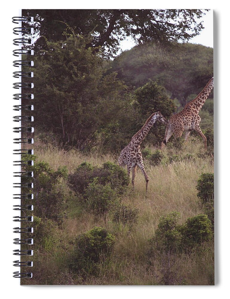 Giraffe Spiral Notebook featuring the photograph Africa Dream by Joseph G Holland