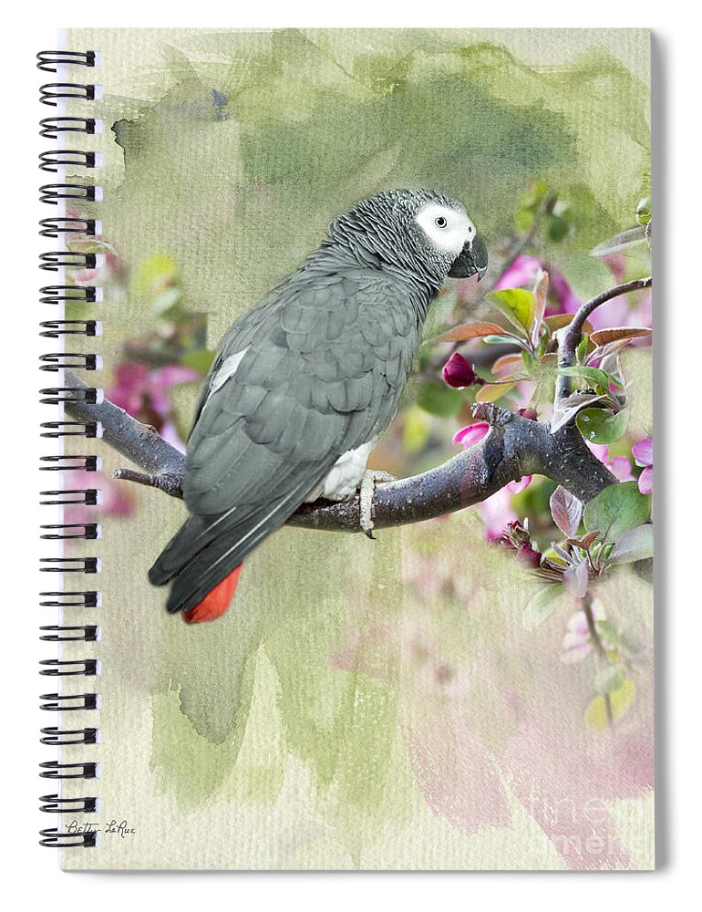 African Gray Parrot Spiral Notebook featuring the photograph African Gray Among the Blossoms by Betty LaRue