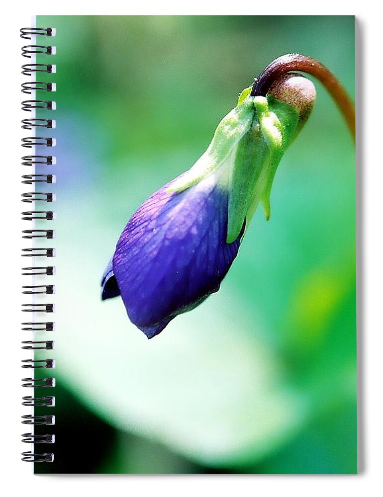 African Violet Spiral Notebook featuring the photograph African Violet by Phil Spitze