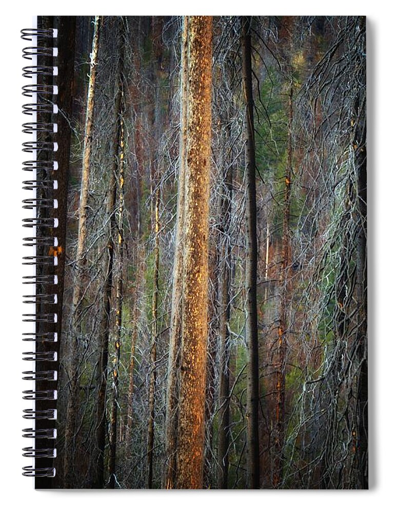 Abstract Spiral Notebook featuring the photograph After the Burn 3 by Newel Hunter