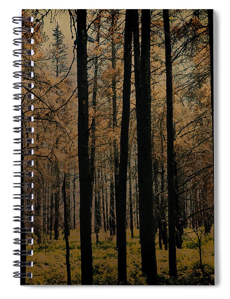 Beige Spiral Notebook featuring the photograph After Two Hearted River Fire in Michigan by Evie Carrier