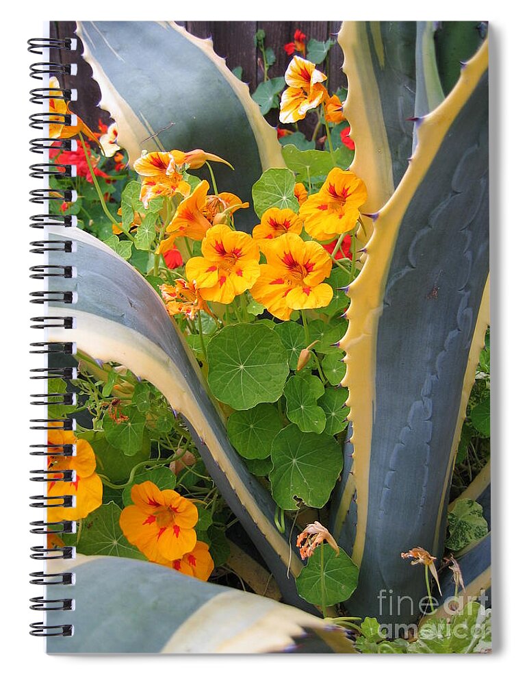 Agave Spiral Notebook featuring the photograph Agave and Nasturtiums by James B Toy