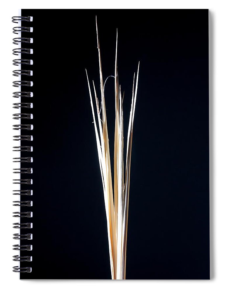 Agave Spiral Notebook featuring the photograph Agave by Joe Kozlowski