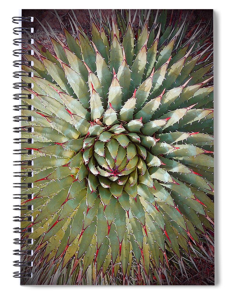 Agave Spiral Notebook featuring the photograph Agave Spikes by Alan Socolik