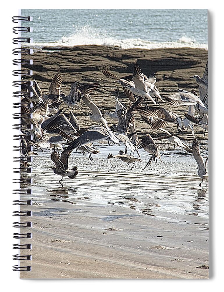 Birds Spiral Notebook featuring the photograph Air Traffic Control we have a problem by Bob Hislop