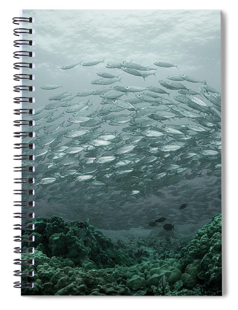 Underwater Spiral Notebook featuring the photograph Akule Baitball Kona, Hawaii by Russell C Gilbert Rcg Maru Photography