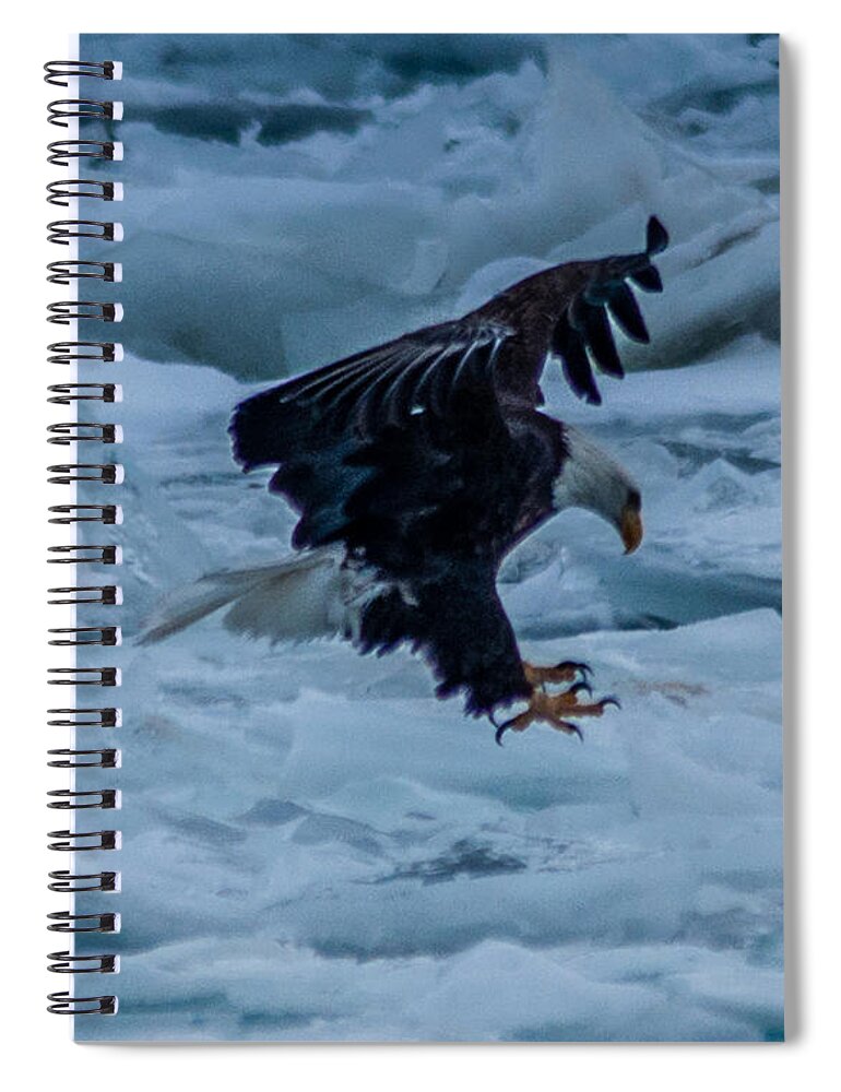 Bald Eagle Spiral Notebook featuring the photograph Algonac the Eagle has landed by Ronald Grogan