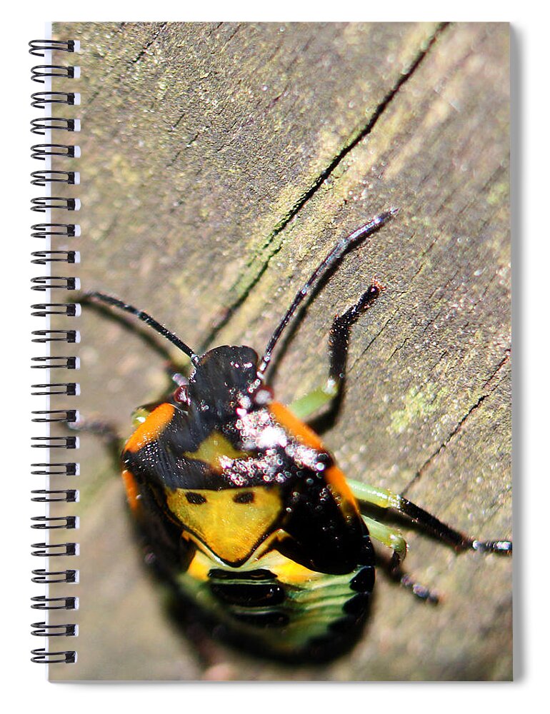 Insects Spiral Notebook featuring the photograph Alien Creature by Jennifer Robin