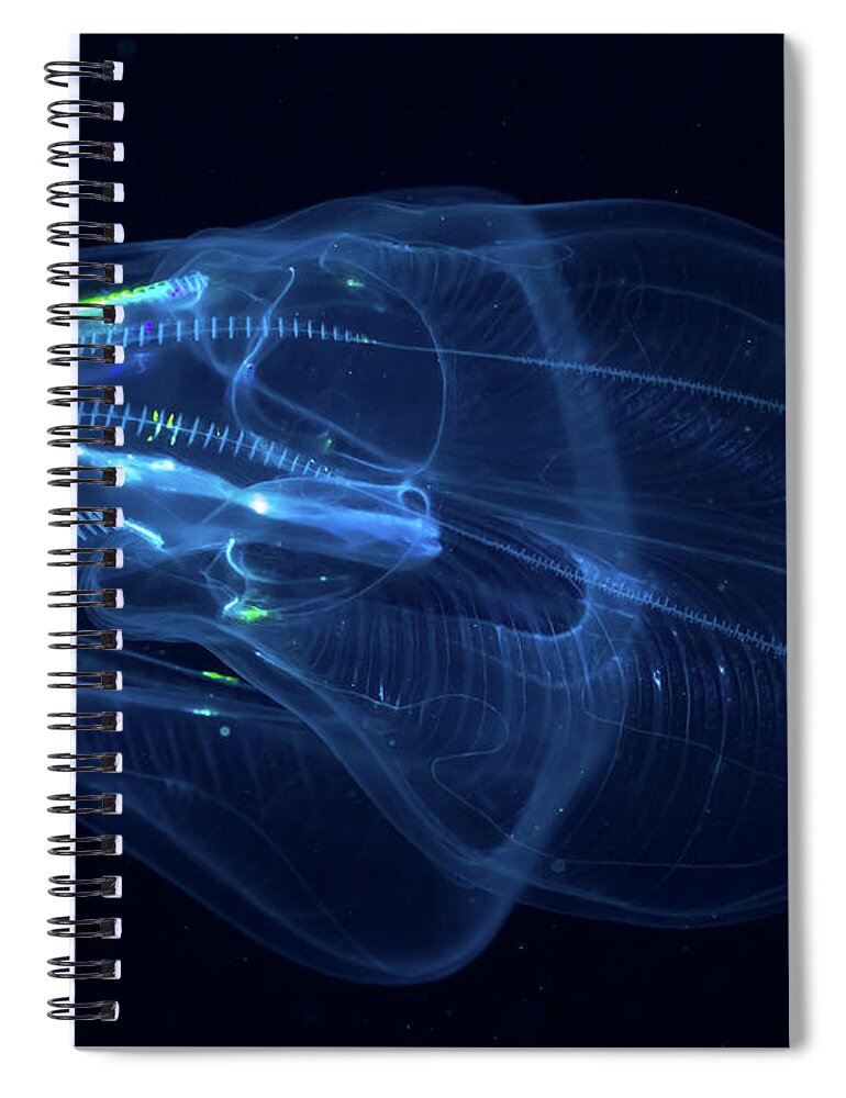 Underwater Spiral Notebook featuring the photograph Alien Spacecraft by Taiki Sakai
