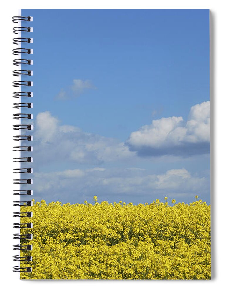 All Spiral Notebook featuring the photograph All Across The Land 3 by Wendy Wilton