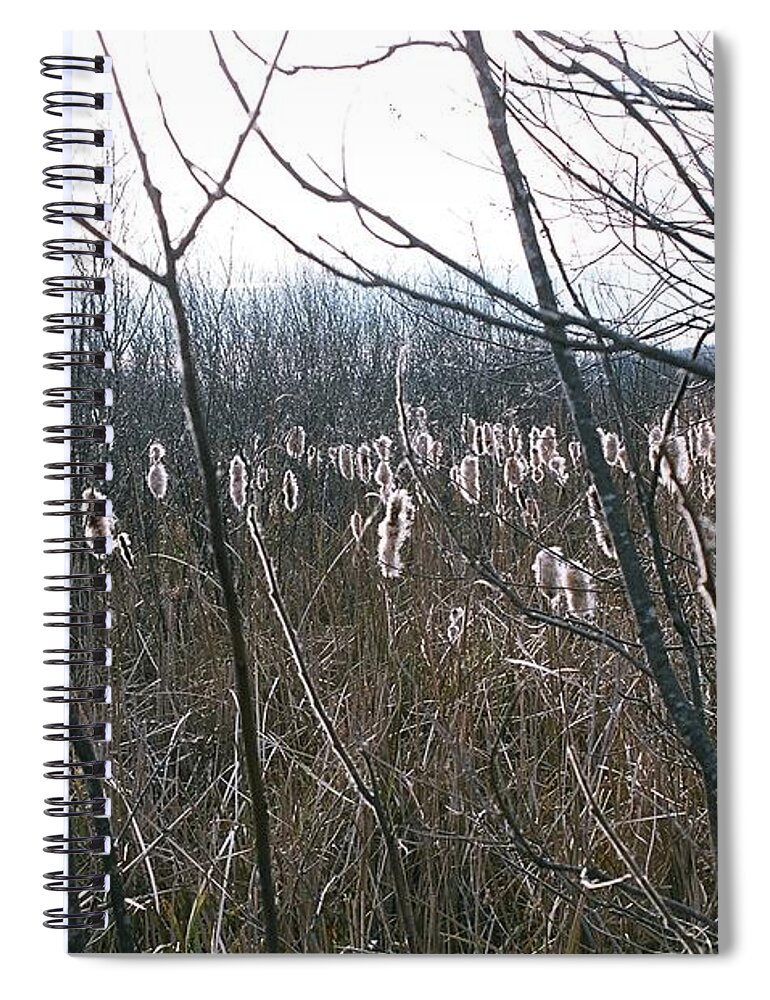 Landscape Spiral Notebook featuring the photograph All aglow by David Porteus