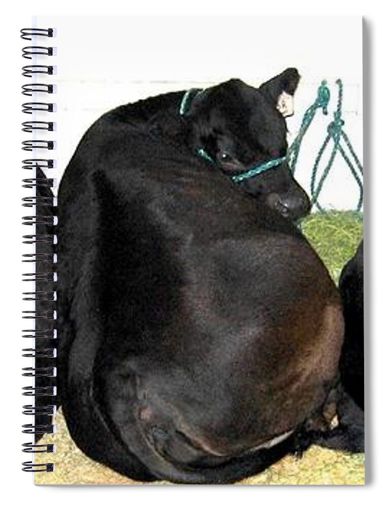 All Eyes Front Spiral Notebook featuring the photograph All Eyes Front by Will Borden