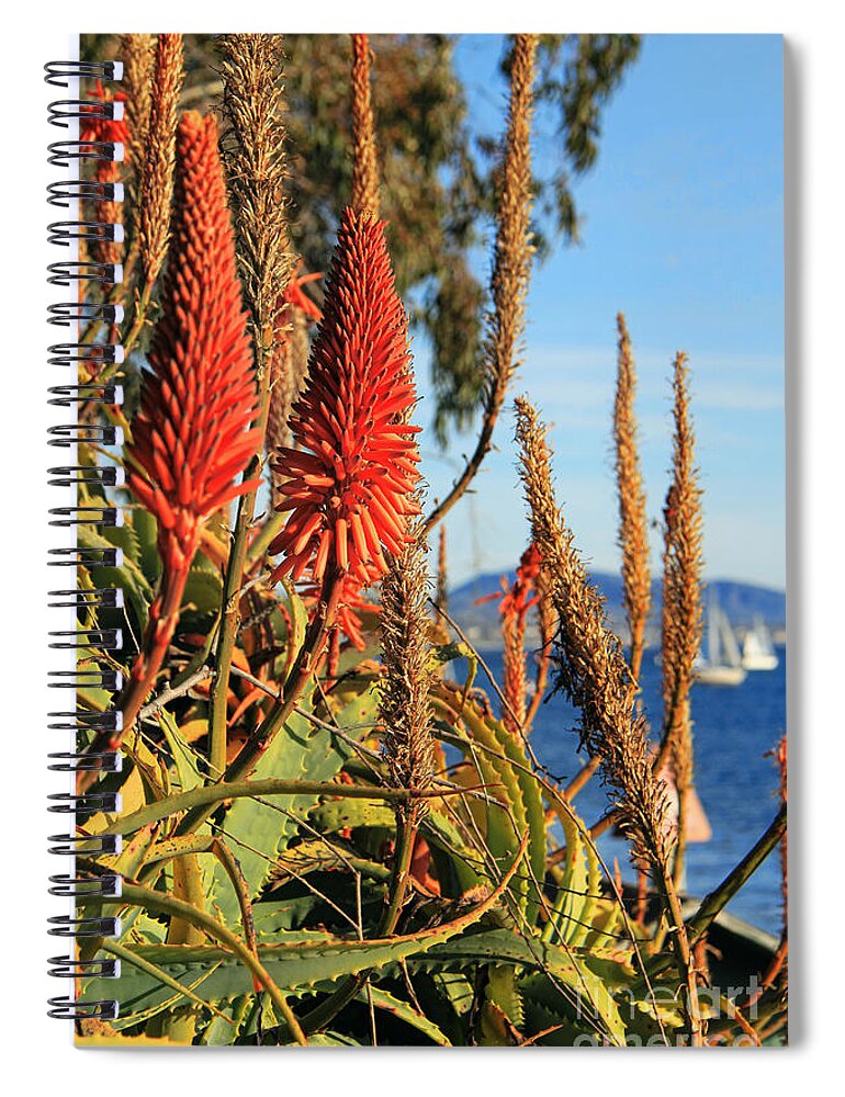 Aloe Vera Bloom Spiral Notebook featuring the photograph Aloe Vera Bloom by Mariola Bitner