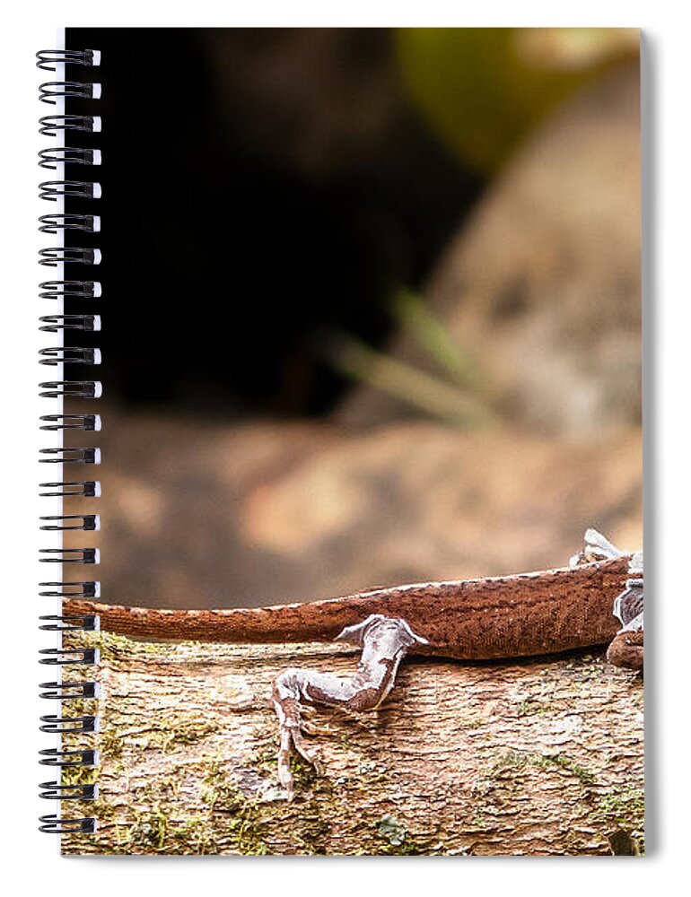 Hawaii Spiral Notebook featuring the photograph Aloha Anole  by Lars Lentz