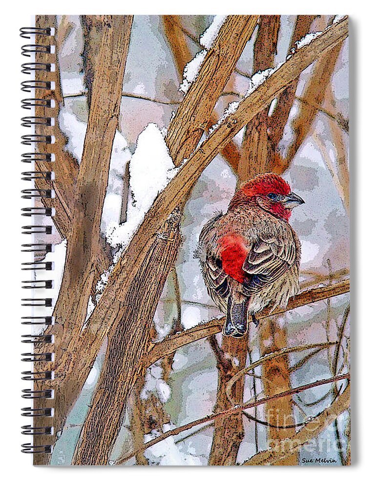 Bird Spiral Notebook featuring the photograph Alone in the Snow Storm by Sue Melvin