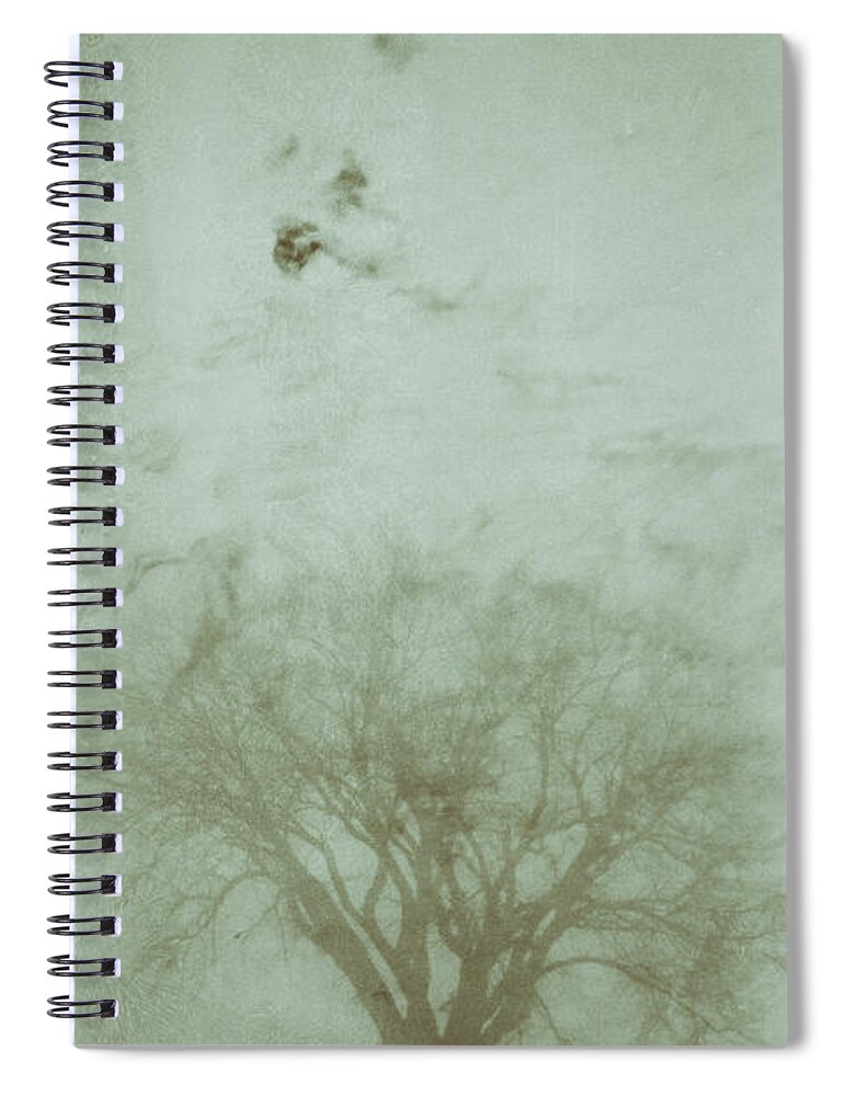 Tree Spiral Notebook featuring the photograph Alone by Pam Holdsworth