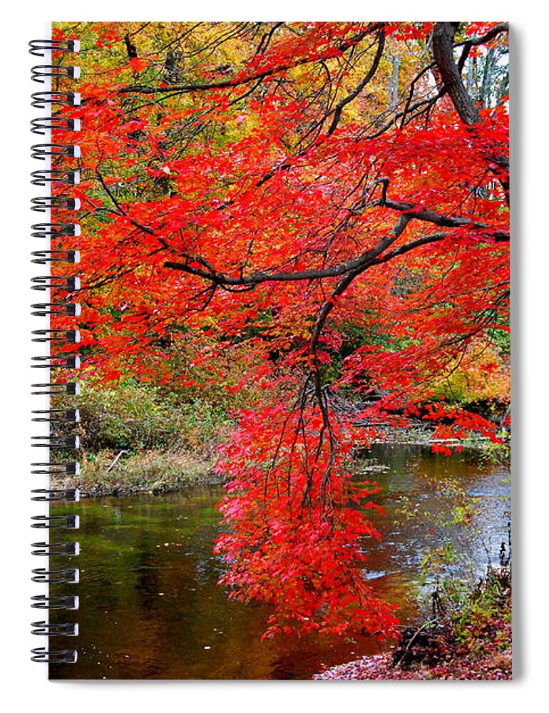 New Hampshire Spiral Notebook featuring the photograph Along The Lamprey by Eunice Miller