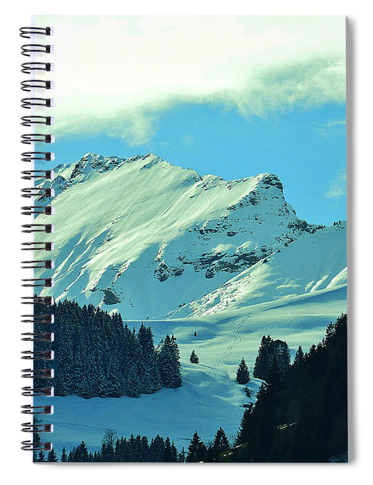 Alps Spiral Notebook featuring the photograph Alps green profile by Felicia Tica