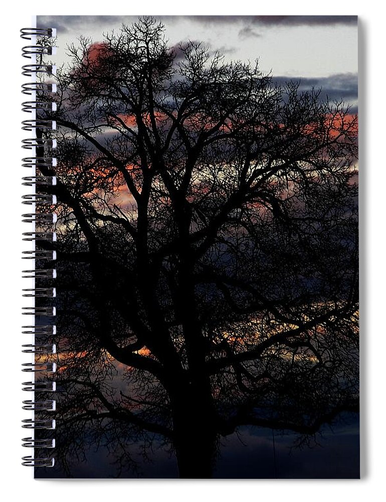 Sky Spiral Notebook featuring the photograph Alveoli by Chris Dunn
