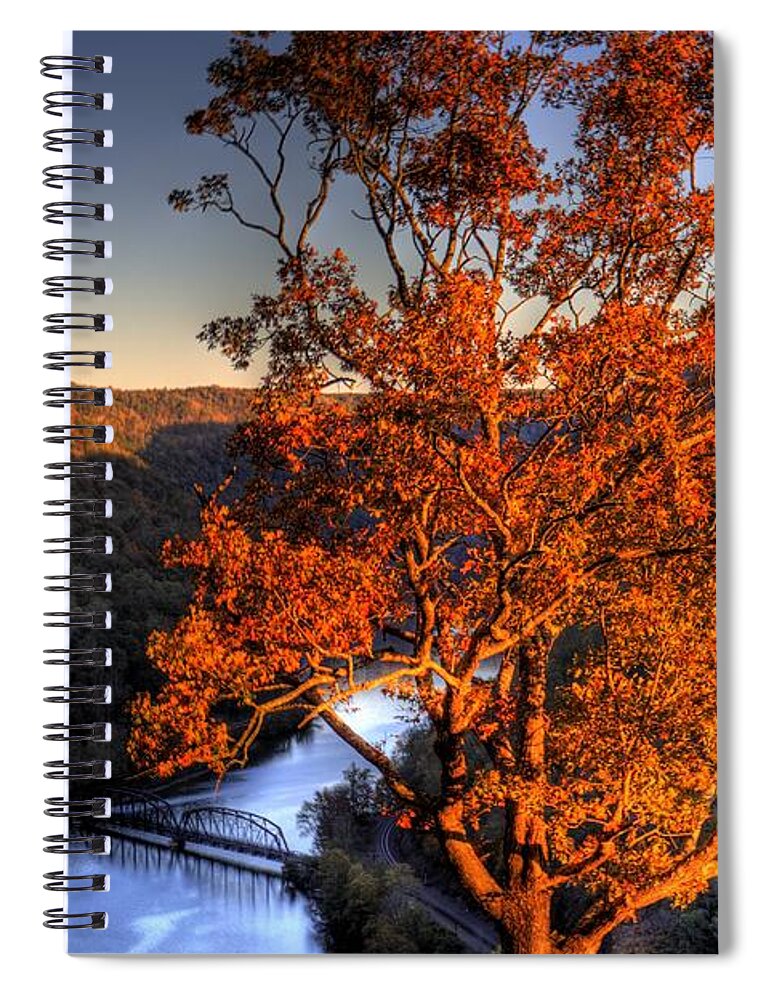 River Spiral Notebook featuring the photograph Amazing Tree at Overlook by Jonny D