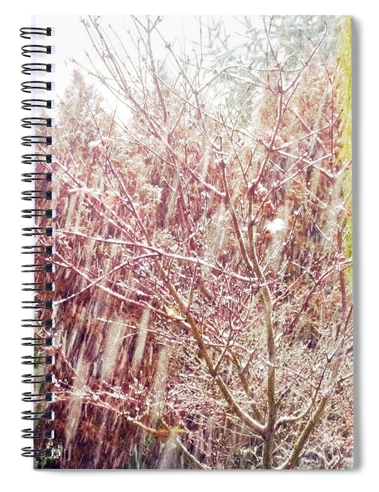 Snow Spiral Notebook featuring the photograph An Early Snowfall by Alys Caviness-Gober