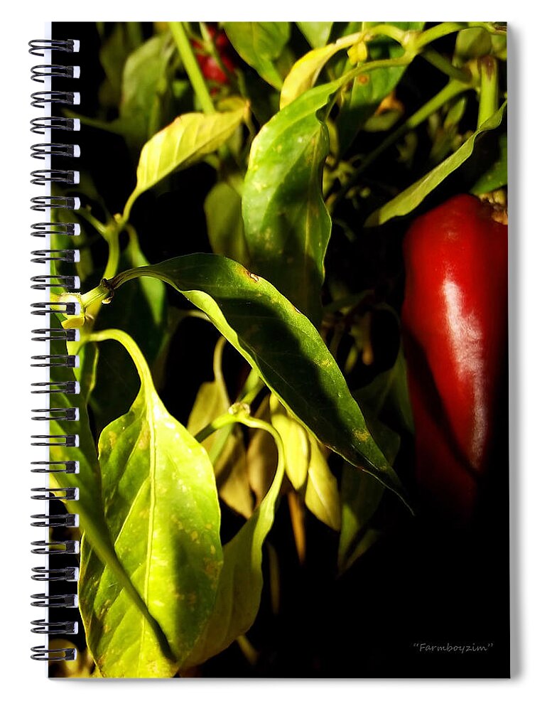 Floral Spiral Notebook featuring the photograph Anaheim Pepper by Harold Zimmer