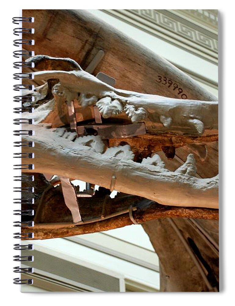 Dinosaur Spiral Notebook featuring the photograph Ancient Crocodile Dinosaur by Kenny Glover