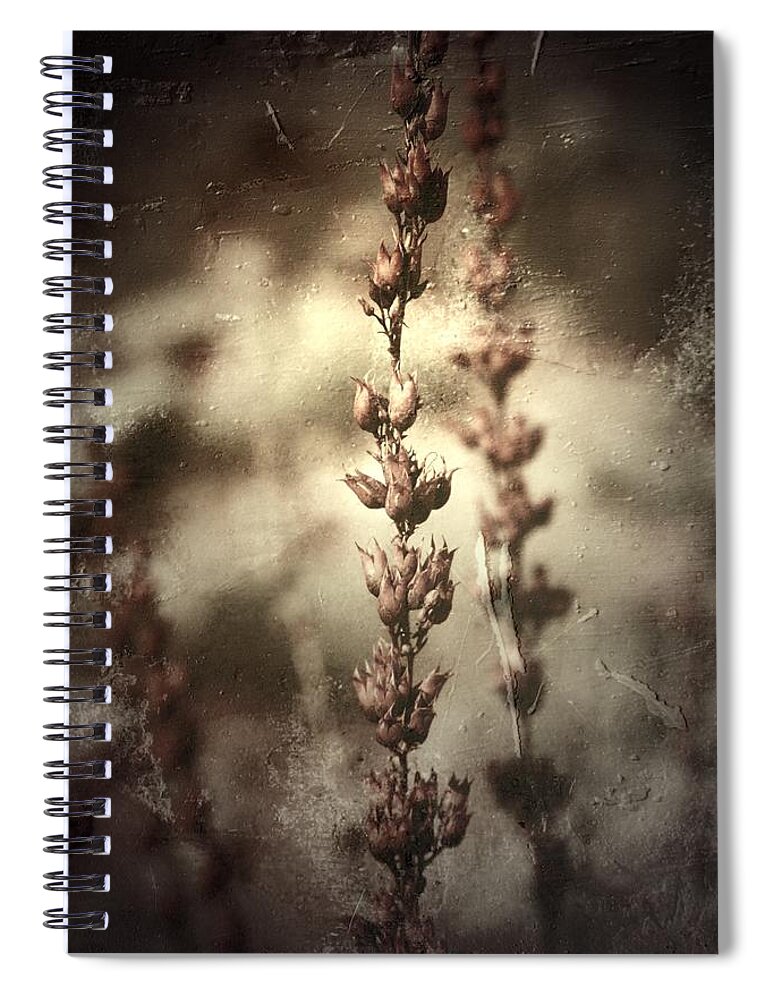 Desert Spiral Notebook featuring the photograph And Ever by Mark Ross