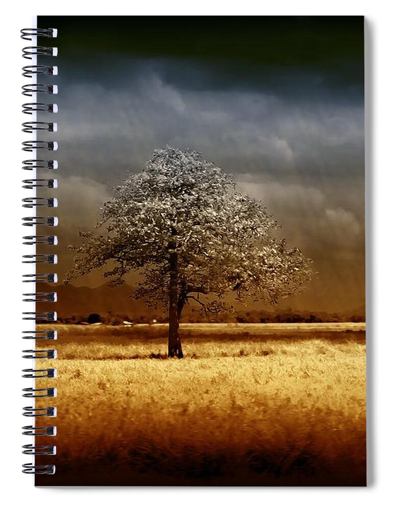 Landscapes Spiral Notebook featuring the photograph And the rains came by Holly Kempe