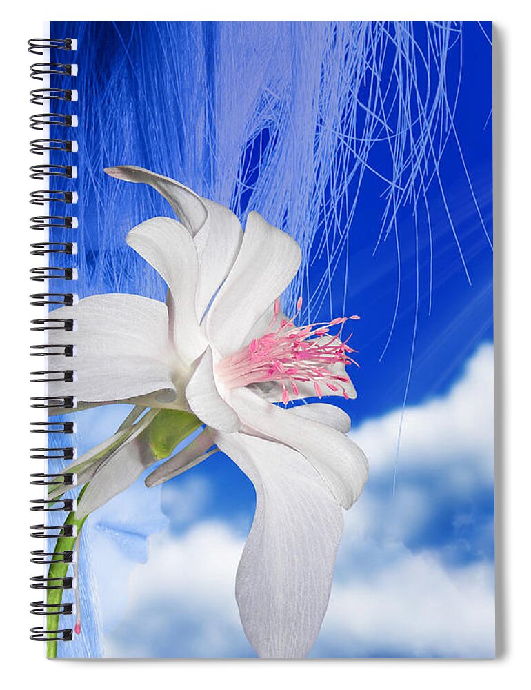 Fleurogeny Art Spiral Notebook featuring the digital art Angel by Torie Tiffany