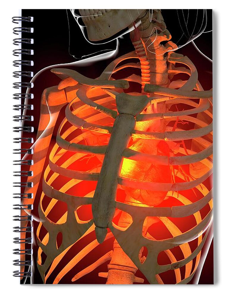 Anatomy Spiral Notebook featuring the digital art Angina, Conceptual Artwork by Roger Harris