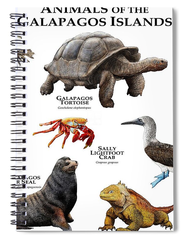 Animal Spiral Notebook featuring the photograph Animals Of The Galapagos Islands by Roger Hall