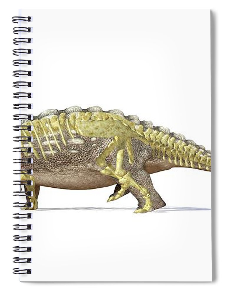 Prehistoric Era Spiral Notebook featuring the digital art Ankylosaur Dinosaur Skeleton, Artwork by Leonello Calvetti