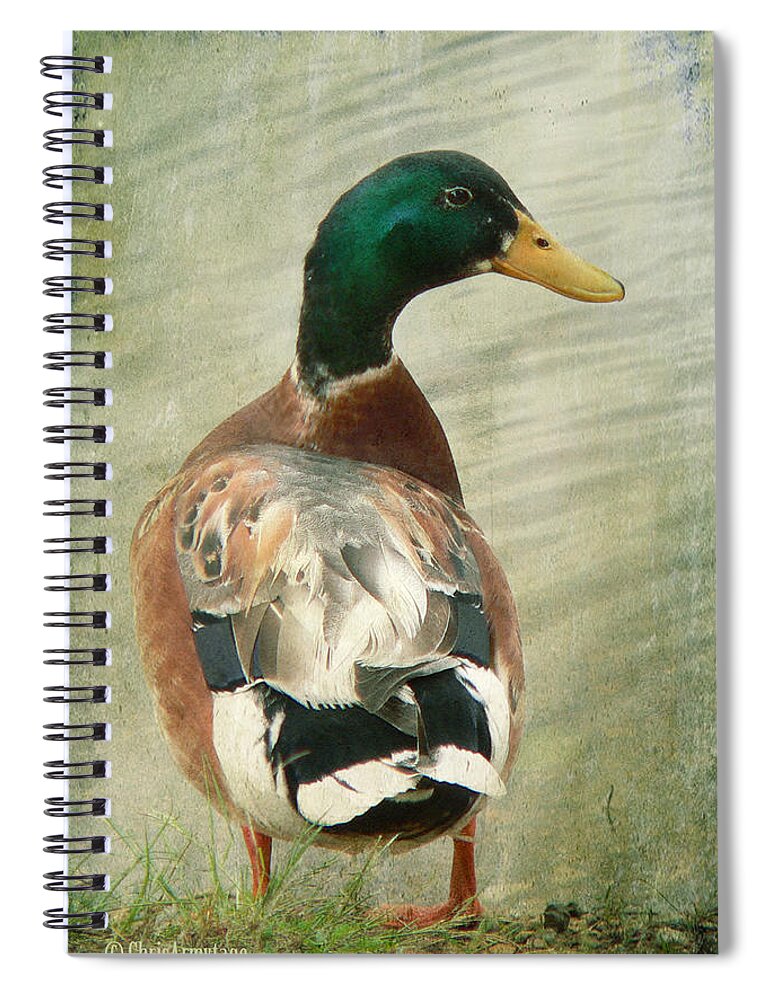 Duck Spiral Notebook featuring the photograph Another duck ... by Chris Armytage
