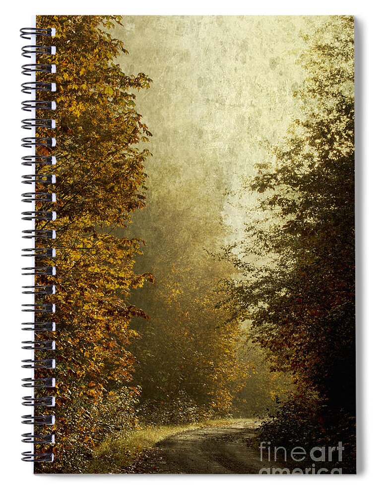 Fall Color Spiral Notebook featuring the photograph Another Road Travelled by Belinda Greb