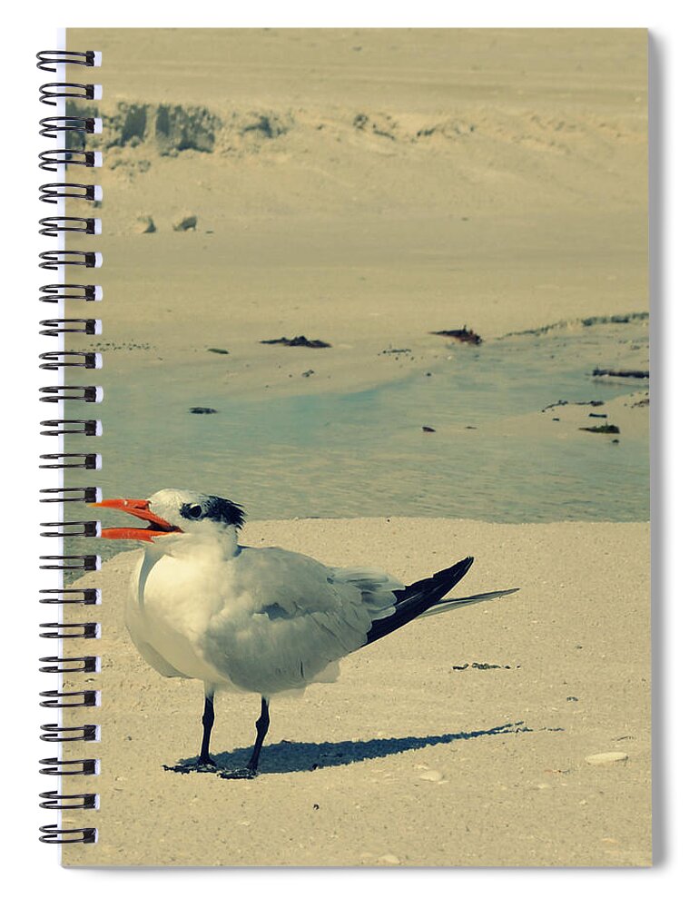 Seagull Spiral Notebook featuring the photograph Another Seagull at the Beach by Patricia Awapara