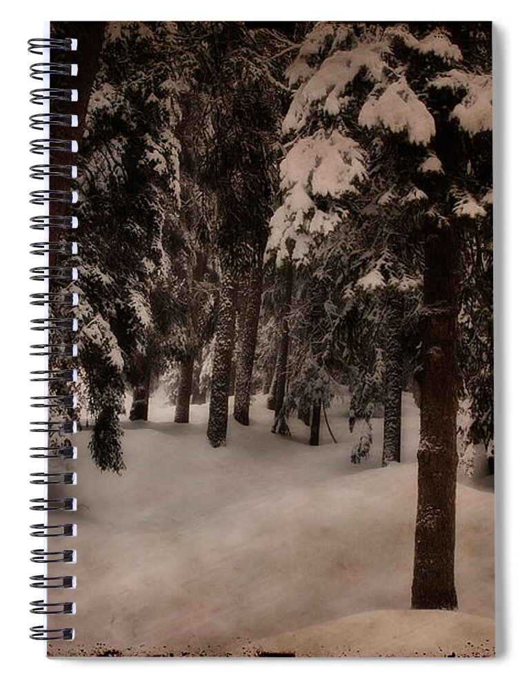 Environment Spiral Notebook featuring the photograph Antique woodscape by Roberto Pagani