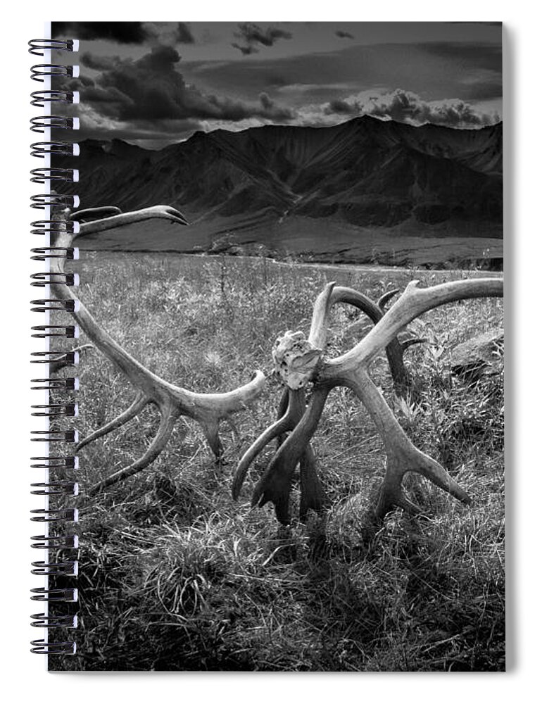 Antlers Spiral Notebook featuring the photograph Antlers in Black and White by Andrew Matwijec