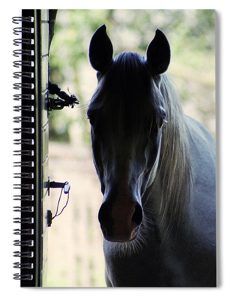  Spiral Notebook featuring the photograph Anybody Home by Ang El