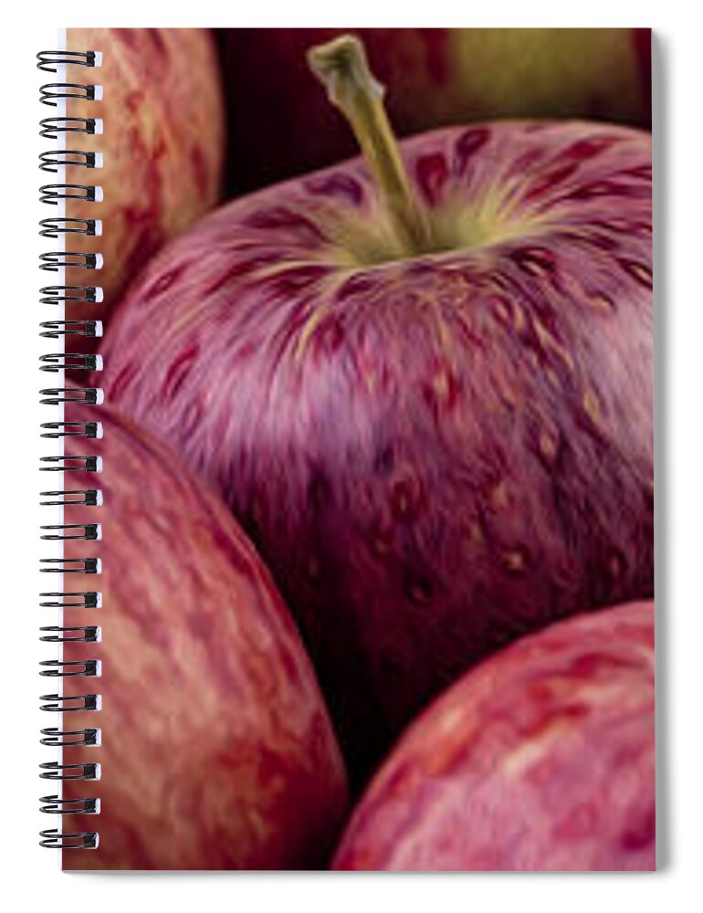 Panorama Spiral Notebook featuring the photograph Apples 01 by Nailia Schwarz