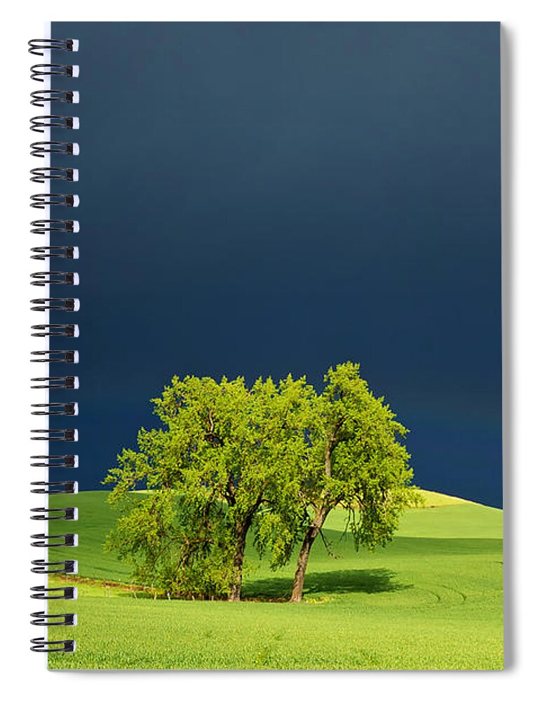 Dark Spiral Notebook featuring the photograph As the Sun Returns by Mary Lee Dereske