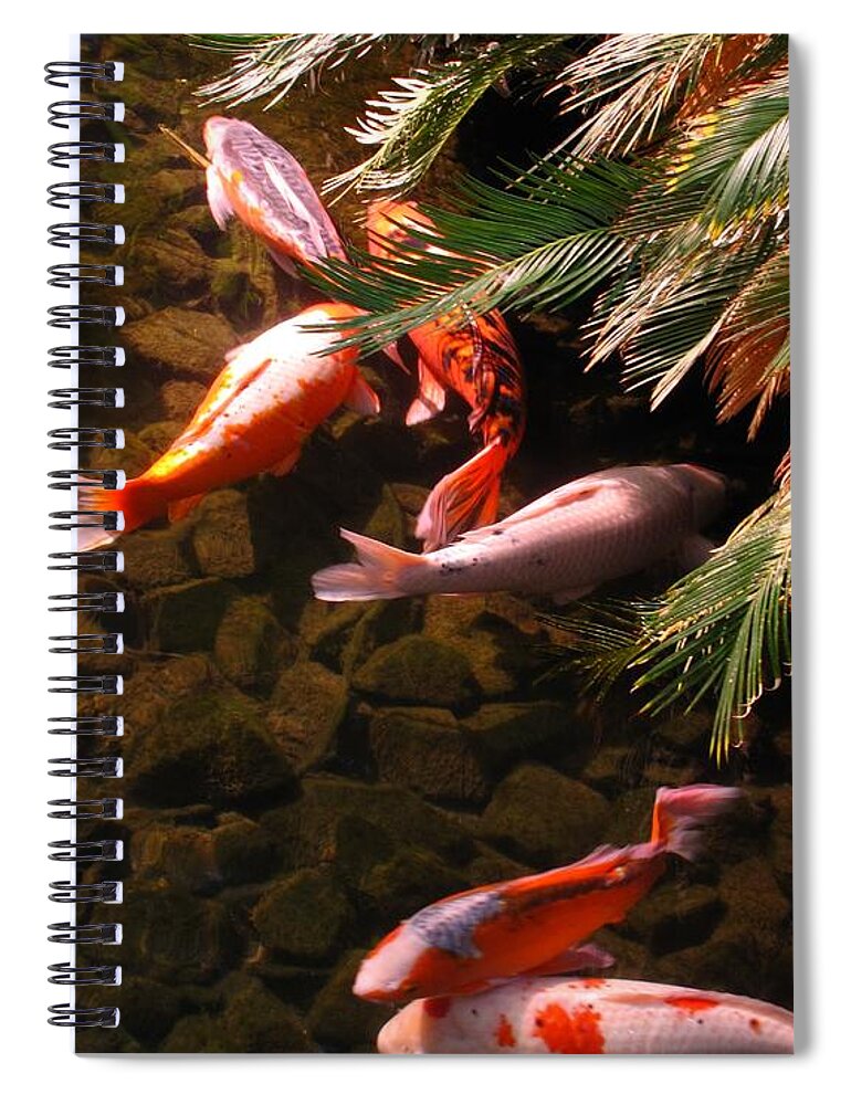 Koi Spiral Notebook featuring the photograph Asian Beauties by Jennifer Wheatley Wolf