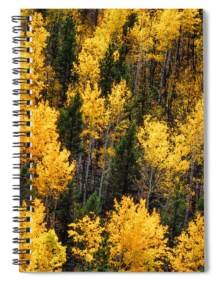 Aspen Grove Spiral Notebook featuring the photograph Aspen Grove by Juli Ellen