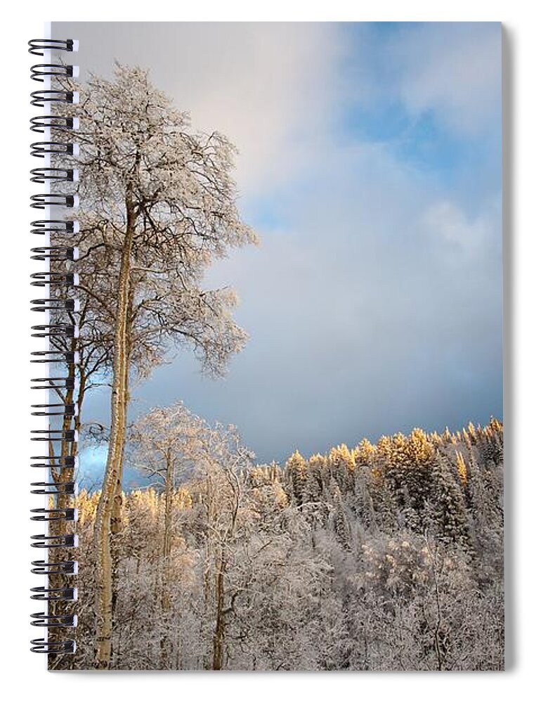 Landscape Spiral Notebook featuring the photograph Aspen in Blue by David Andersen